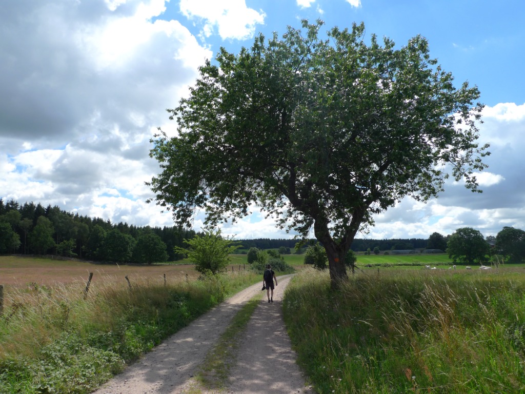 Bild från Skåneleden