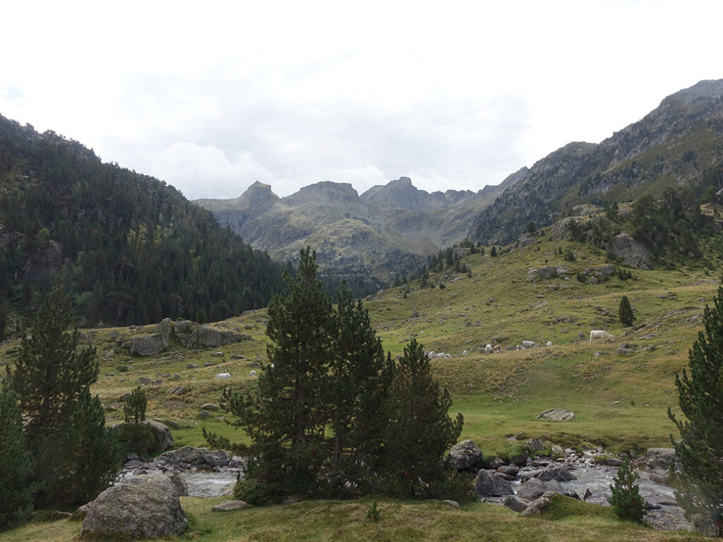 Stream in the Pyrenees