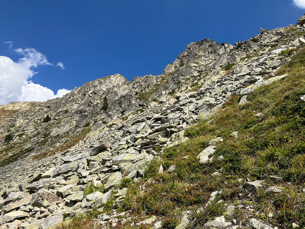 Steep boulder field