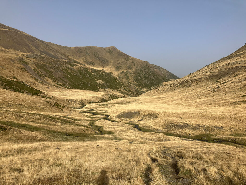 Grassy valley with streams