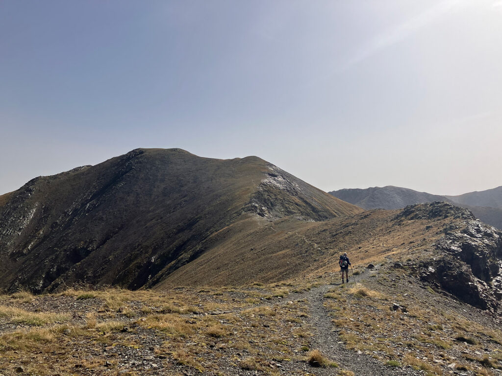 Bert walking on a mountain ridge