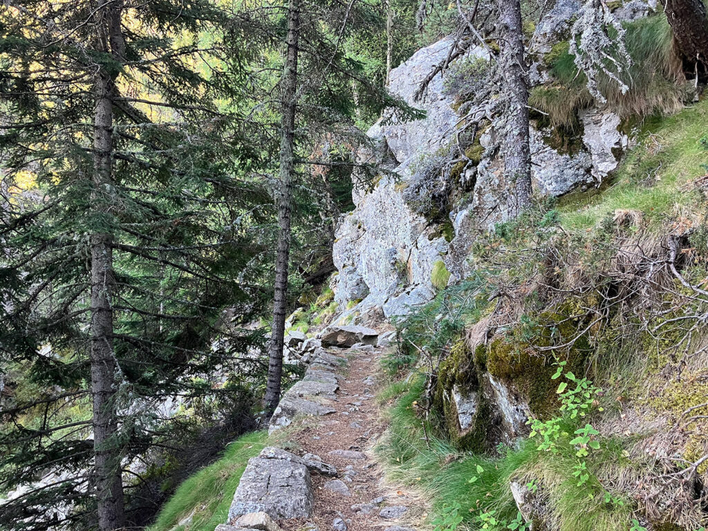 Path in the mountains forest